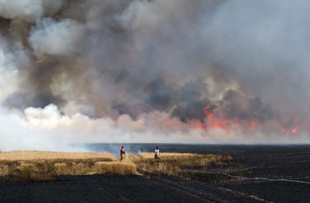 Workers trie to extinguish a fire on a field that broke out due to ongoing drought in Brehna, Germany.