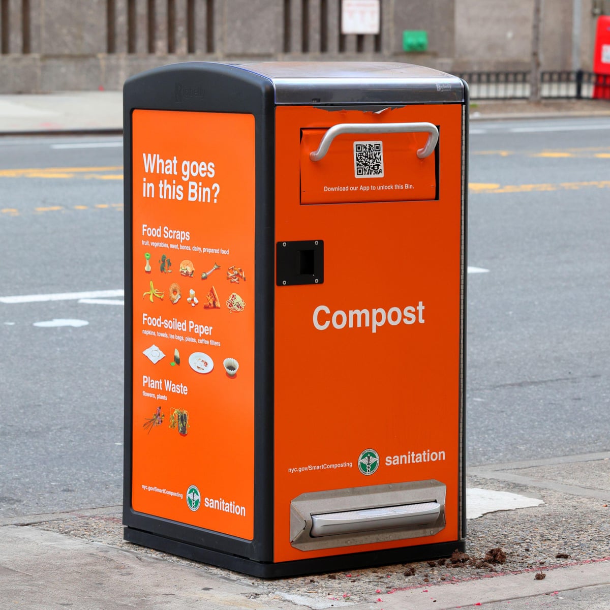 Can You Compost Paper Towels?: Unveiling Eco Secrets