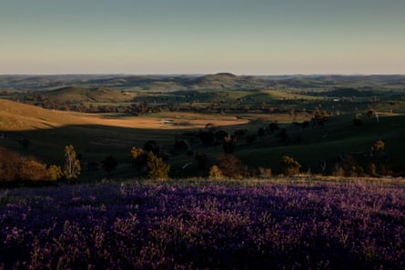 The morning view from Charlie Arnott’s property in Boorowa, New South Wales.