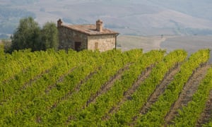 A vineyard and stone barn near Montalcino, Tuscany, Italy, Europe