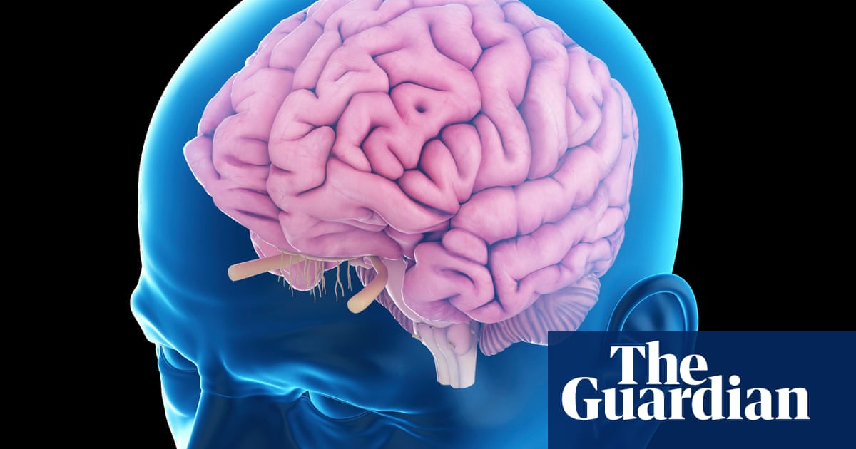 Discovering Age Specific Brain Changes >> Scientists Reverse Memory Decline Using Electrical Pulses Science Discovering Age Specific Brain Changes >> Scientists Reverse Memory Decline Using Electrical Pulses Science