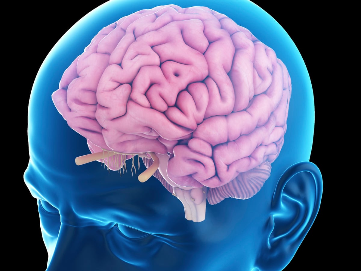 Download Scientists Reverse Memory Decline Using Electrical Pulses HD Get Wallpaper Scientists Reverse Memory Decline Using Electrical Pulses For iPhone Free