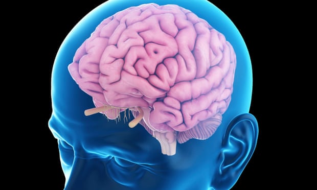 Illustration of a brain in an older man