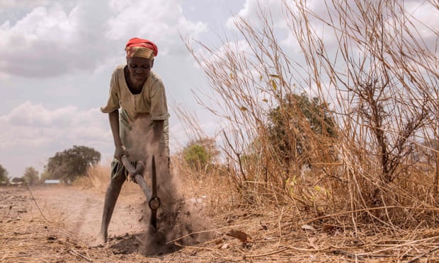 A woman plows the field at a farm where 50 women work in Nyamlel, South Sudan. 