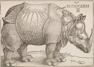 Albrecht Durer’s The Rhinoceros.