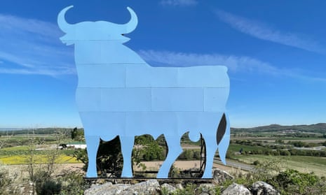 The blue bull on a hillside near Xinzo de Limia
