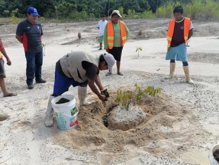 Reforestation workshops under way in Madre de Dios. Restoring degraded land is required for the Fairmined certification miners hope to achieve this year