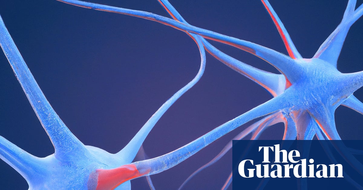 Scientists identify ‘neural fingerprint’ of psychedelic drugs in the brain