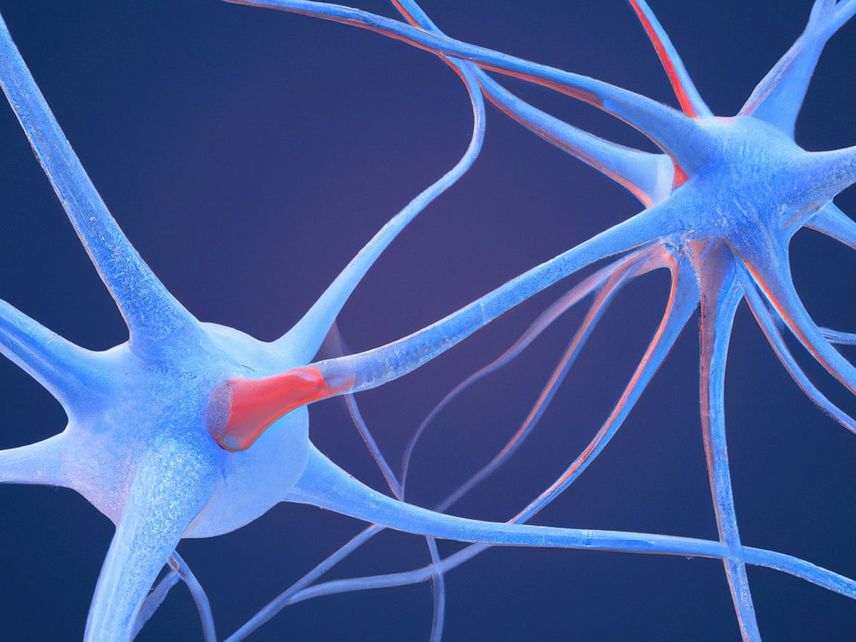 Scientists identify 'neural fingerprint' of psychedelic drugs in the brain | Drugs | The Guardian