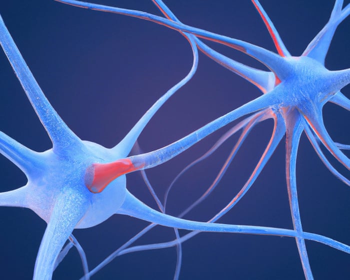 Scientists Identify ‘neural Fingerprint’ of Psychedelic Drugs in the Brain