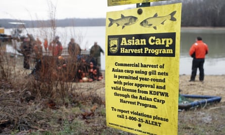 Wildlife officials take part in a roundup of Asian carp in Smith Bay on Kentucky Lake. The invasive species threatens to upend aquatic ecosystems along the Mississippi River and dozens of tributaries.