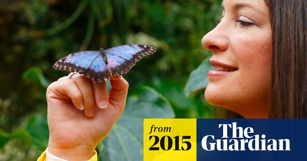 Rachel De Thame I Was Banned From Breastfeeding At Chelsea Flower Show Breastfeeding The Guardian