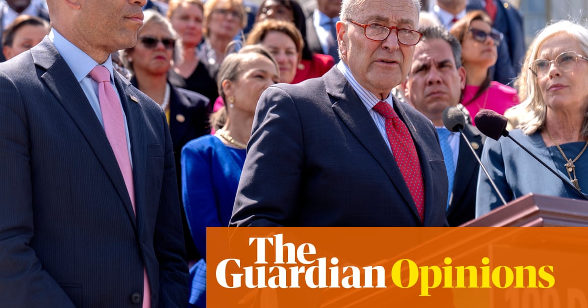 Democrats are failing against Trump. We need a new generation in 2026 | Alexandra Rojas