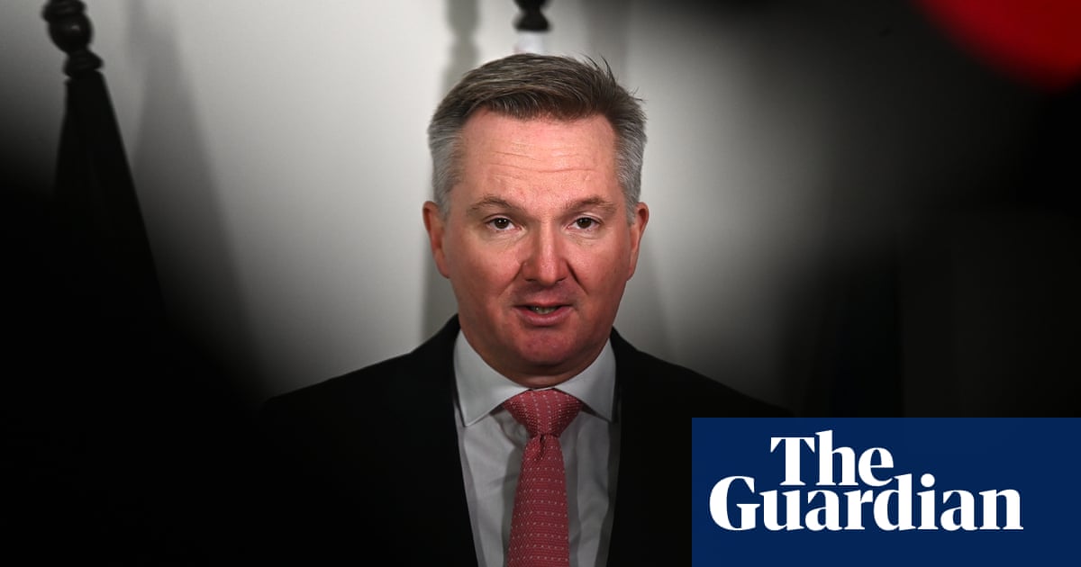 Bowen says ‘no silver bullet’ to lower prices as energy market operator given power to buy and Bowen says ‘no silver bullet’ to lower prices as energy market operator given power to buy and