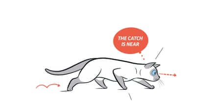 Extracted from KITTY LANGUAGE by Lili Chin