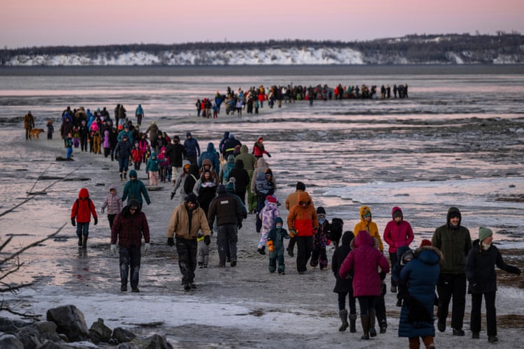 Carcass of giant fin whale draws scores of onlookers to Alaska beach People cross the mudflats to see the carcass.Photograph: Bill Roth/AP