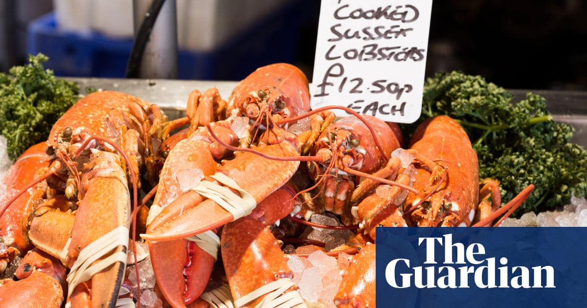 Boiling of live lobsters could be banned in UK under proposed legislation