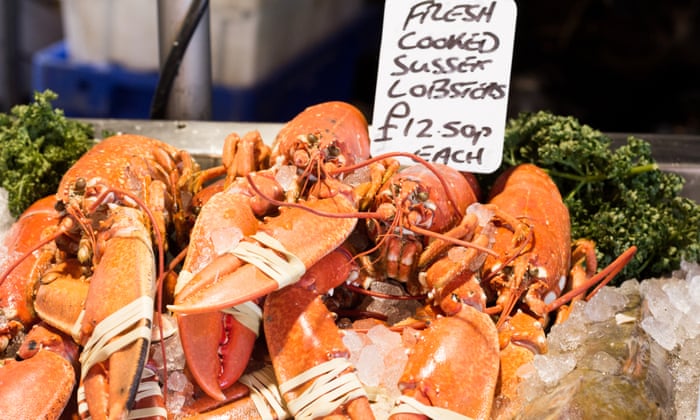 https://www.theguardian.com/world/2021/nov/19/boiling-of-live-lobsters-could-be-banned-in-uk-under-proposed-legislation
