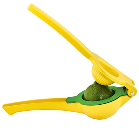 Citrus juicer for lemons and limes, £9.99 lakeland.co.uk