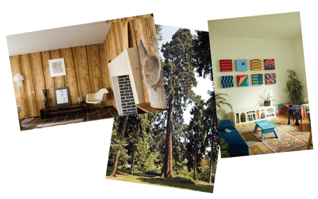 ترتيب كاكت؛ أشياء طبيعية مثل حجر؛ ديكور عضوي وظلال