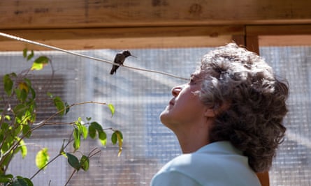 Every Little Thing review – hummingbird documentary shimmers with the best of humanity | Movies | The Guardian