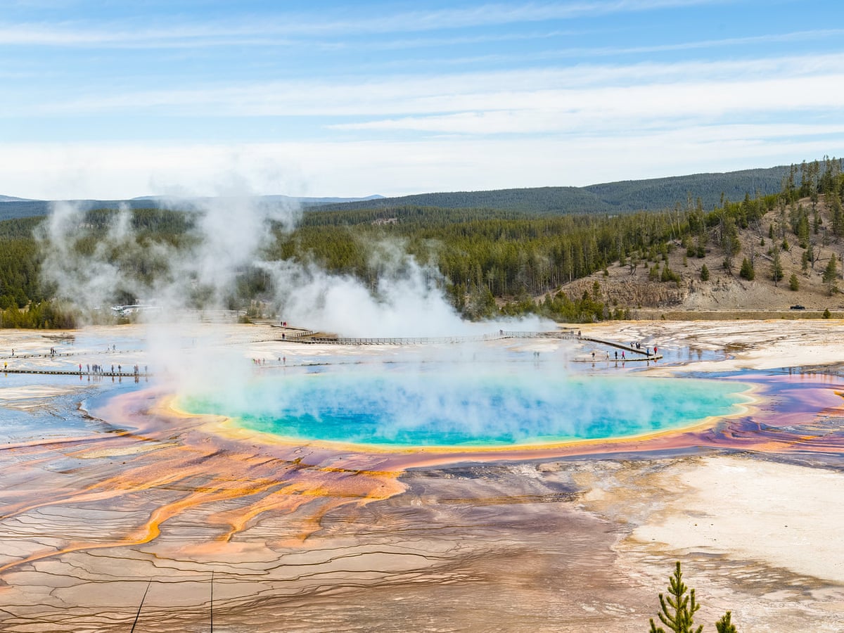 Download A Fowl Of The Law Men Sentenced For Cooking Chicken In Yellowstone Hot Spring Environment The Guardian