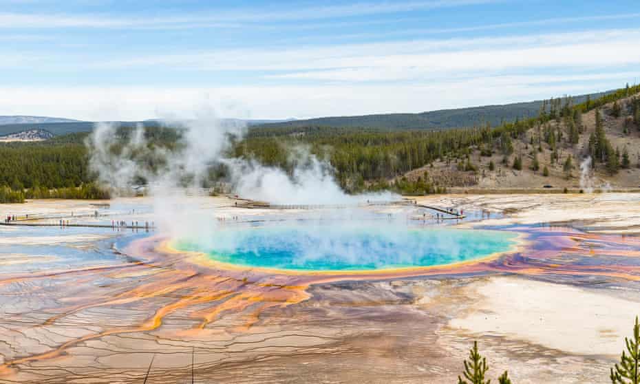 'A fowl of the law': men sentenced for cooking chicken in Yellowstone