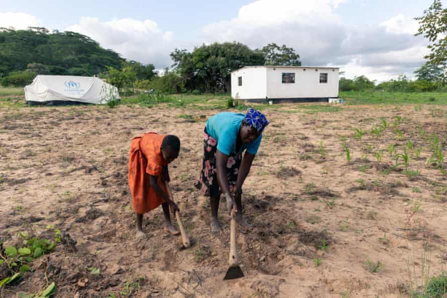 Cotilda Shupikai Ngwengwe, left, helps her mother Gladys Chiremba to weed her fields in Buhera