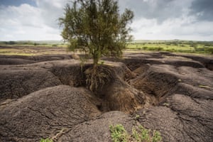 Soil erosion impacts