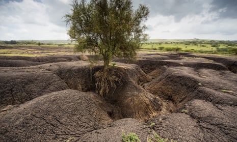 Soil erosion in Tanzania. Fertile soil is being lost around the world at a rate of 24bn tonnes a year.
