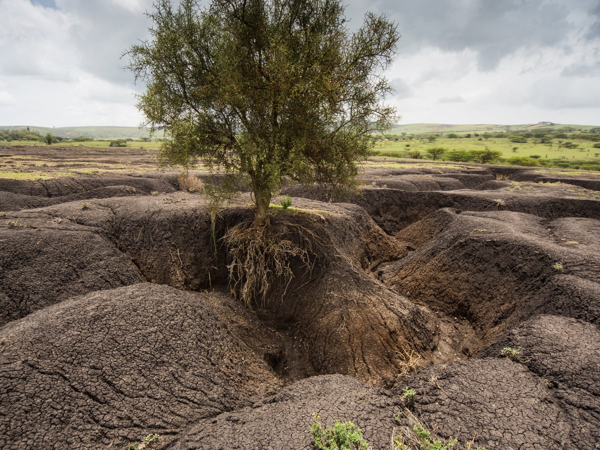 effects of land degradation in points
