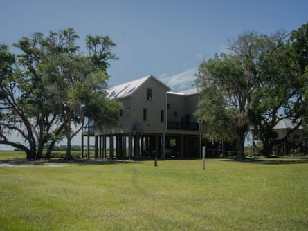 Large location connected greenish grass