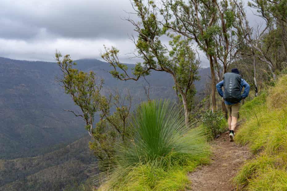 Rear view of a hiker walking along Scenic Rim Trail