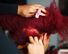 New York law requires hairdressers to learn how to work with all hair types