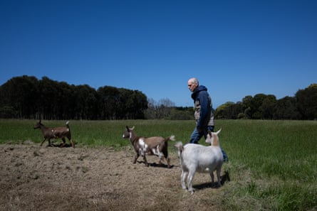 Michael Garwood and his Nigerian dwarf goats.