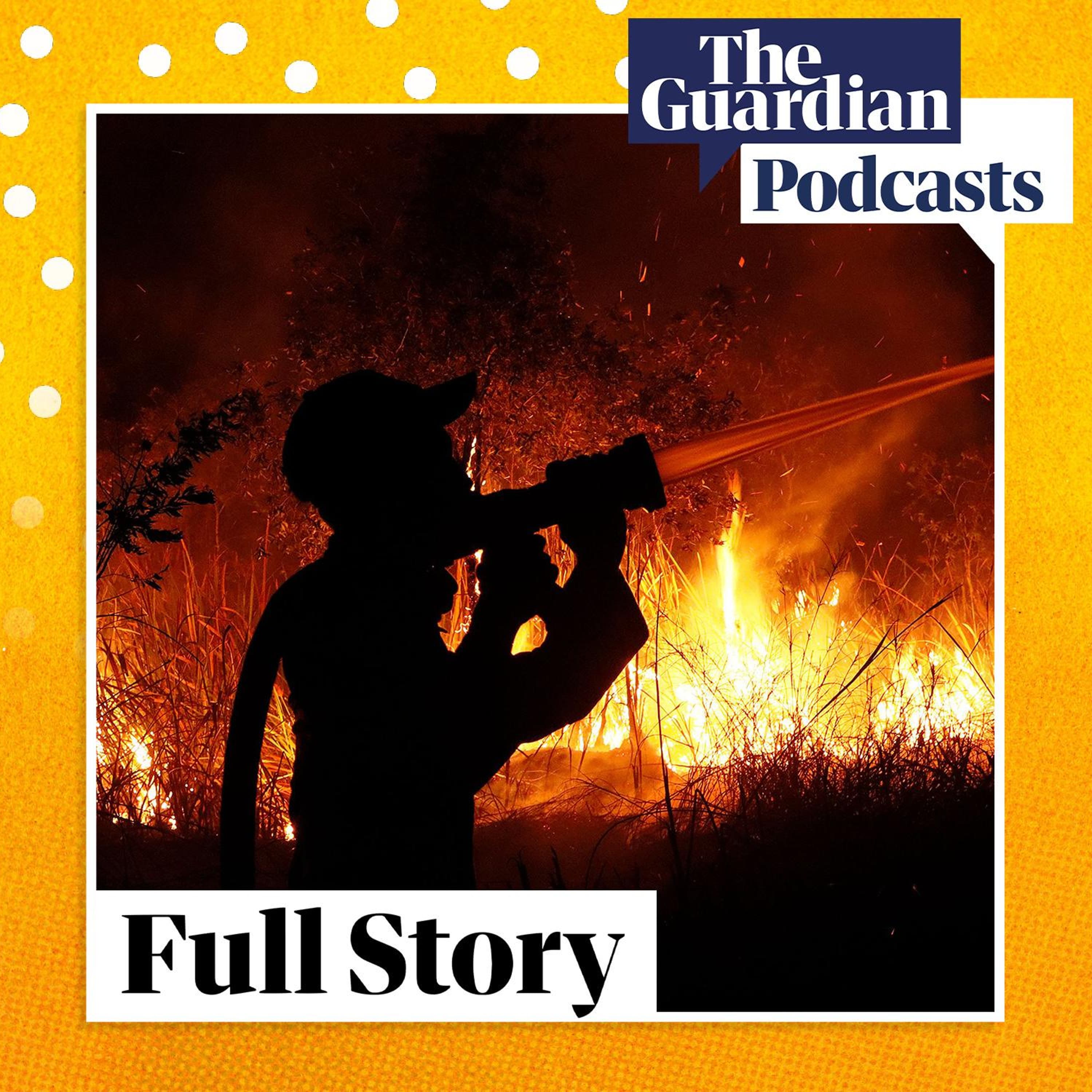 The 'apex predator' of fires choking south-east Asia
