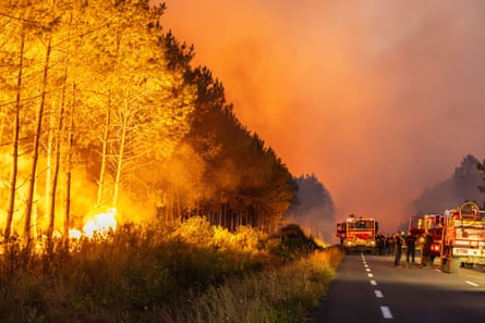 Firefighters tackle the blaze as its rips through trees