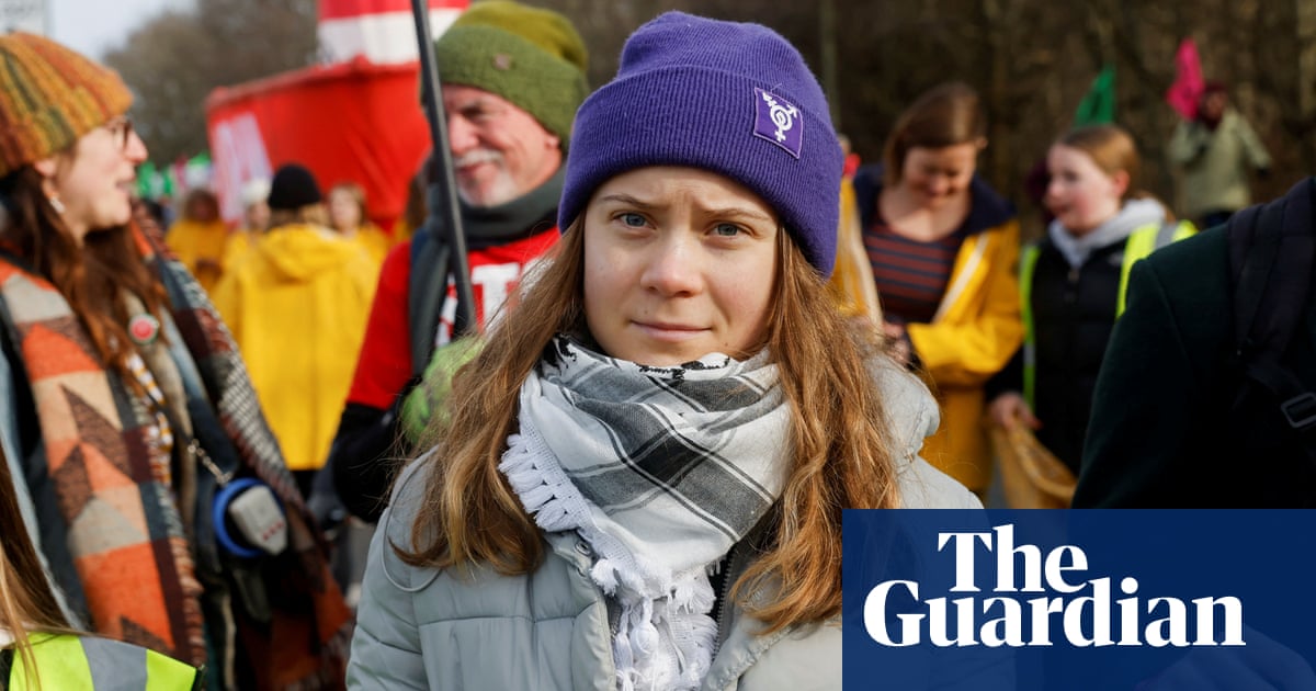Greta Thunberg joins protest against expansion of Hampshire airport | Environmental activism
