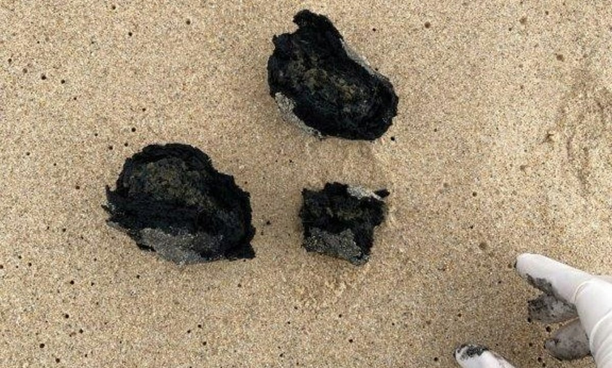 NSW regulator chose to reveal content of Sydney's mystery beach balls on day of US election | Sydney | The Guardian