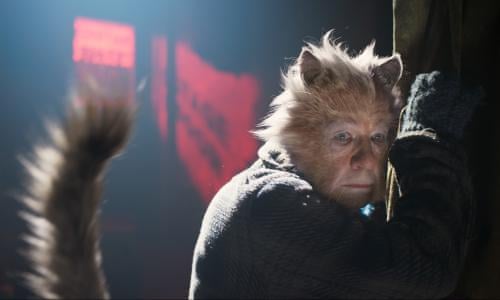 Cats Review A Purr Fectly Dreadful Hairball Of Woe Cats The Guardian Cats Review A Purr Fectly Dreadful Hairball Of Woe Cats The Guardian