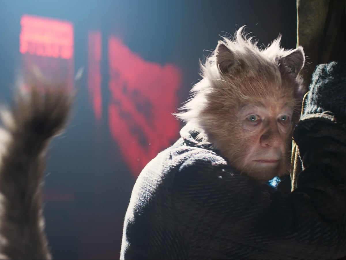 Have you seen Cats? Tell us what you think | Cats | The Guardian