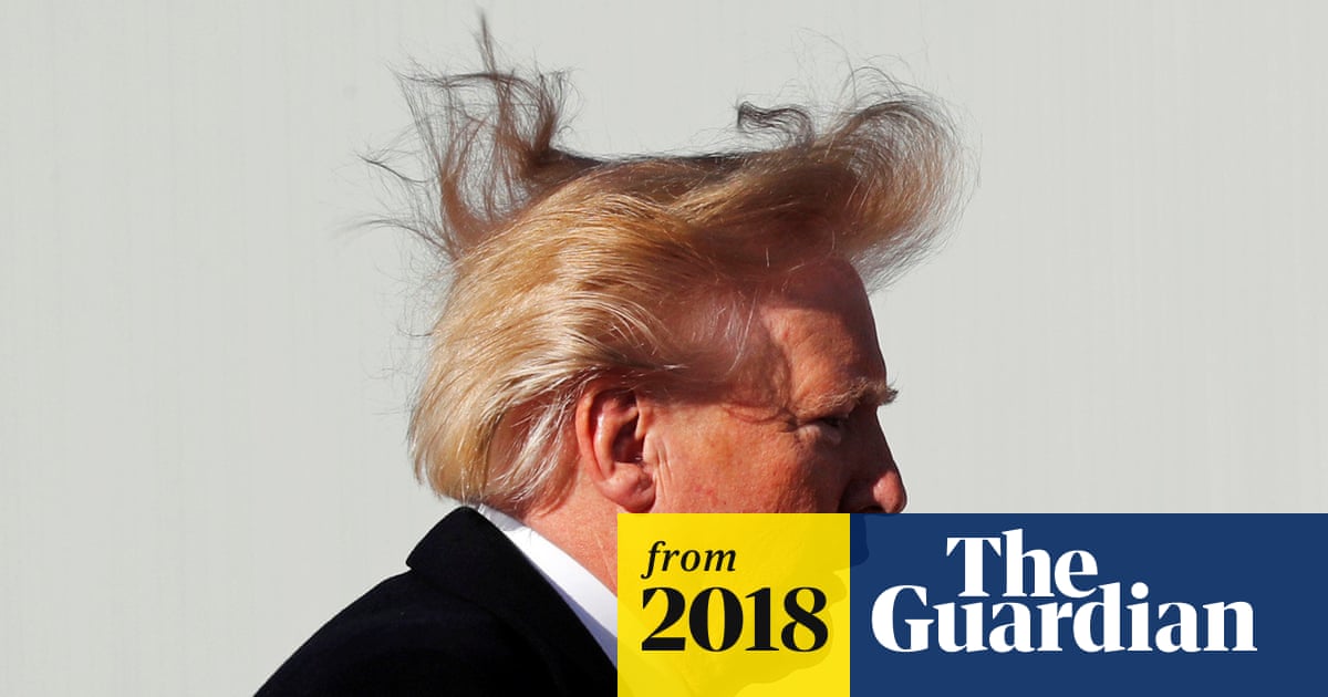Hair-raising moment: blustery wind lifts lid on mystery of Donald Trump's  mane | Donald Trump | The Guardian