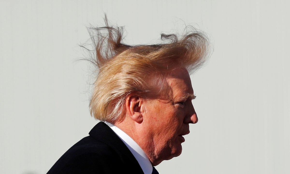 Hair-raising moment: blustery wind lifts lid on mystery of Donald