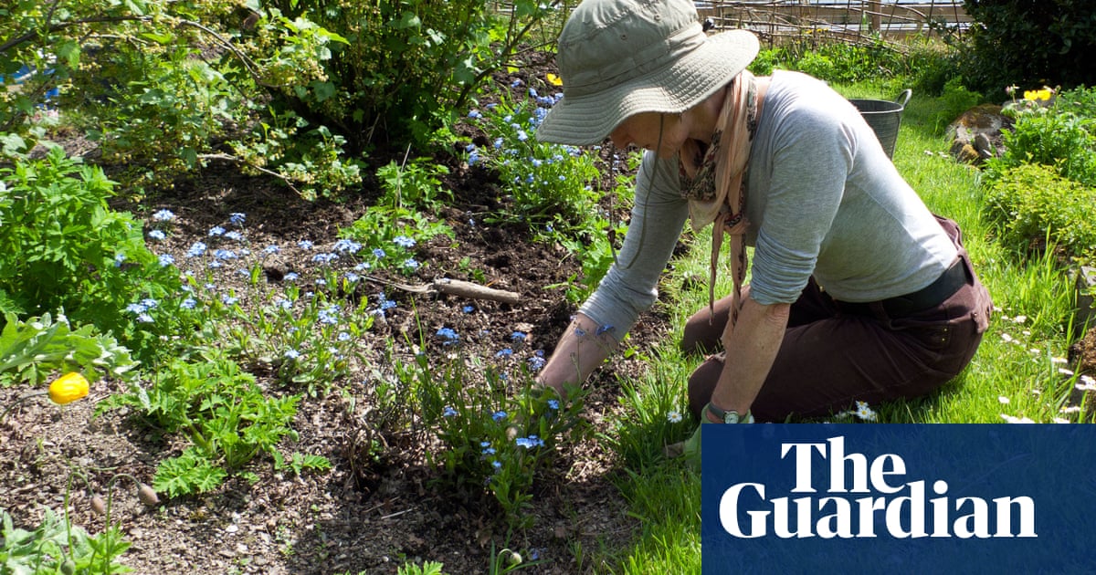 RHS asks gardeners to find interesting weeds that may be rare plants