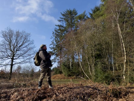 Man with rucksack and binoculars peers up at trees.