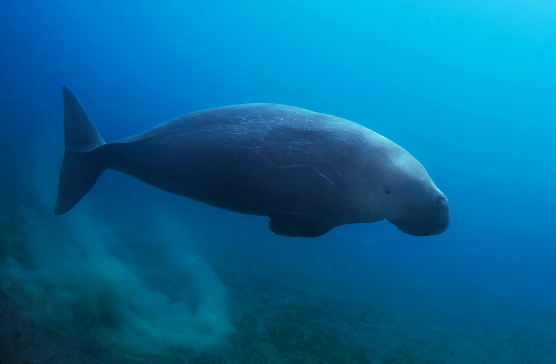 Source: Photo: Paul Hilton/Conservation International