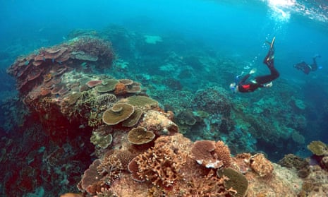 The Great Barrier Reef in Queensland.