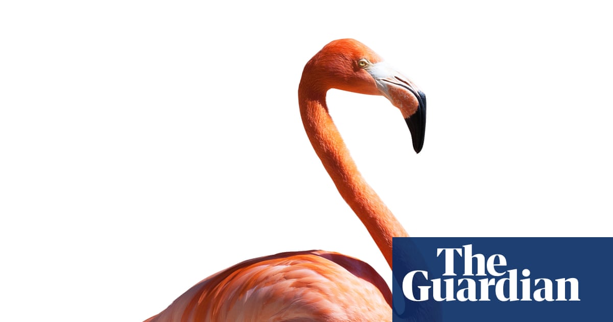 Thursday News Quiz: Test Your Knowledge on Current Events and Pop Culture