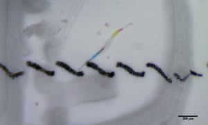 theguardian - microplastics-found-in-more https://www.theguardian.com/environment/2018/mar/15/microplastics-found-in-more-than-90-of-bottled-water-study-says