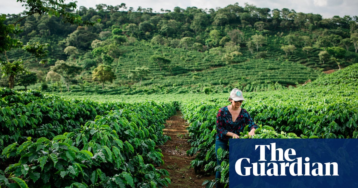 $1m a minute: the farming subsidies destroying the world - report 8